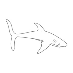 Shark outline vector icon.Outline vector illustration fish of sea. Isolated illustration of shark icon on white background.