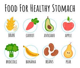 Healthy food for stomach isolated infographic design element
