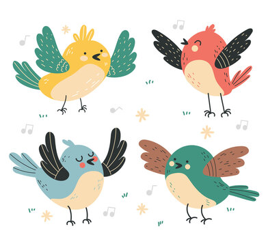 Different type of birds. Vector flat cartoon graphic design illustration