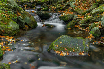 Fototapeta na wymiar Sumny and Bily creek in autumn morning in Jeseniky mountains