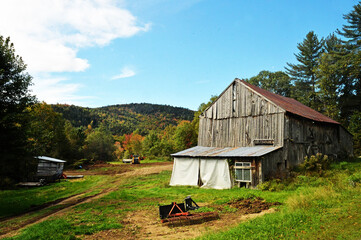 Autumn foliage in Northern New England