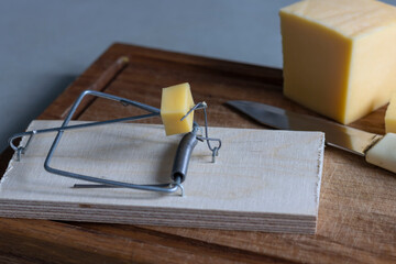 A mousetrap with a piece of cheese in the form of bait. Free cheese as a catch, followed by a...