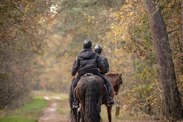 Two older people riding horses in the autumn forest