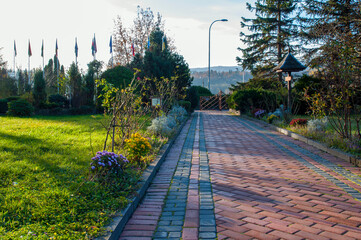 Obraz premium Summer in a landscape park...Trees and bushes in green clothes.