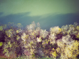 Naklejka na ściany i meble Top down of river Sava edge with autumn, leafless trees rising above the green water surface