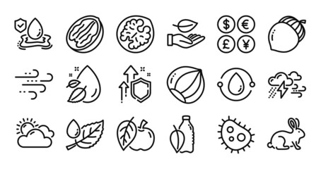 Bacteria, Sunny weather and Flood insurance line icons set. Secure shield and Money currency exchange. Windy weather, Leaf and Water bottle icons. Acorn, Leaf dew and Cold-pressed oil signs. Vector