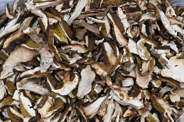 Porcini secchi