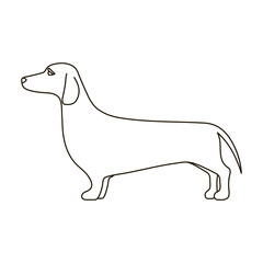 Dachshund vector icon.Outline vector icon isolated on white background dachshund.