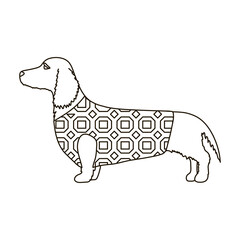 Dachshund vector icon.Outline vector icon isolated on white background dachshund.