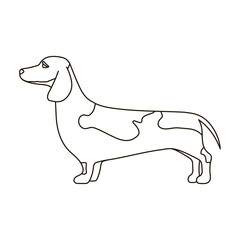 Dachshund vector icon.Outline vector icon isolated on white background dachshund.
