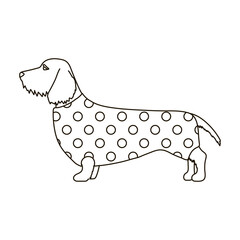 Dachshund vector icon.Outline vector icon isolated on white background dachshund.