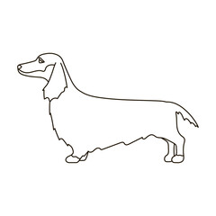 Dachshund vector icon.Outline vector icon isolated on white background dachshund.