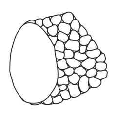 Truffle vector icon.Outline vector icon isolated on white background truffle.