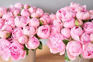 Pink Angel Cheeks peonies in a metal vase. Beautiful peony flower for catalog or online store. Floral shop concept . Beautiful fresh cut bouquet. Flowers delivery © malkovkosta