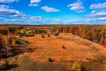 aerial image of a fall forest