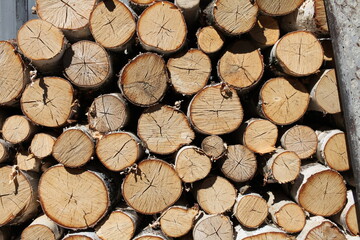 woodpile of dry cracked round birch firewood