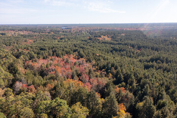 aerial image of a fall forest 