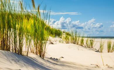 Obraz premium Summer beach ona Baltic Sea, sand, green grass and blue sky