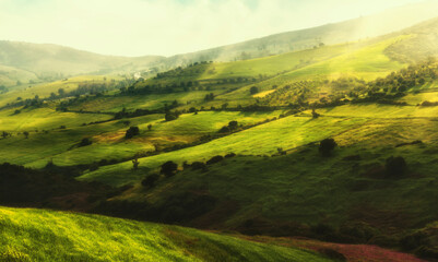 Obraz premium landscape with green grass and mountains