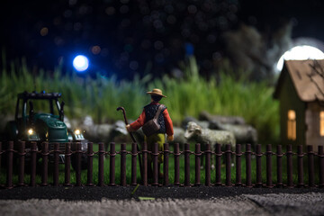Sheep in the farm. Farm (village) life concept. Decorative toy figures at night. Selective focus