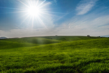 sun in the field