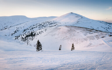 Winter Carpathians. Magical view in the mountains a frosty day. On the eve of the holiday.  Carpathian, Ukraine, Europe.