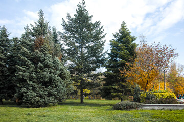 Autumn view of South Park in city of Sofia, Bulgaria