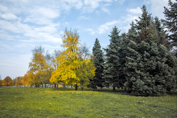 Autumn view of South Park in city of Sofia, Bulgaria