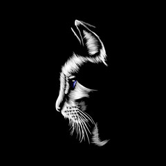 Obraz na płótnie Canvas Cat vector illustration abstract design