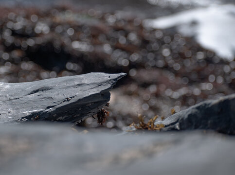 Rocas de playa mojadas