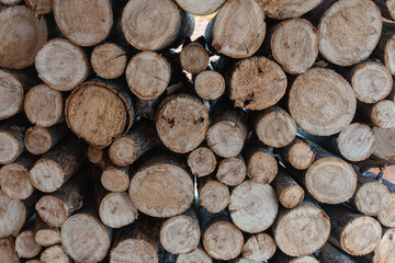 Fototapeta premium Wooden logs stacked for heating the dwelling in winter.