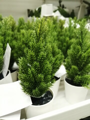 artificial tree in a pot. new year and christmas in the supermarket