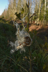 My photos