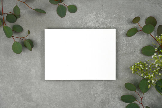 Blank White Invitation Card With Eucalyptus Leaves. Blank Greetings Mock-up, Special Invitation Flatlay, Greeting Card Top View.