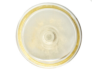 one glass champagne close up top view. champagne coupe close up top view. Many tiny bubbles in a glass of champagne.