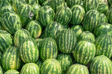 a bunch of striped watermelons close up as a background