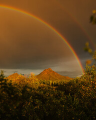 Desert mountains and cacti in summer with bright rainbow during a storm with sunlight 