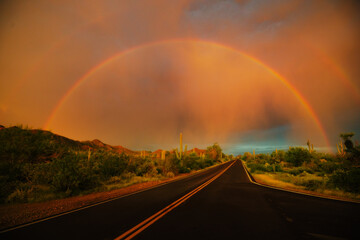 Desert road and cacti in summer with bright rainbow during a storm with sunlight 