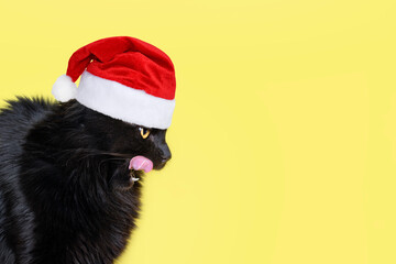 Funny Black fluffy cat in red santa claus hat Licking His Lips. Lovely fluffy cat licking lips. New year or Christmas banner with Copy space for text
