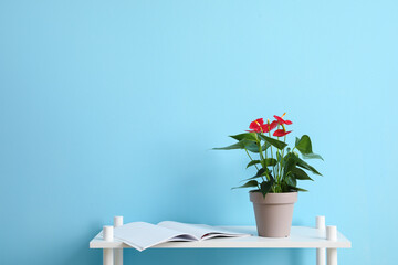Shelf unit with Anthurium flower and opened magazine on color background