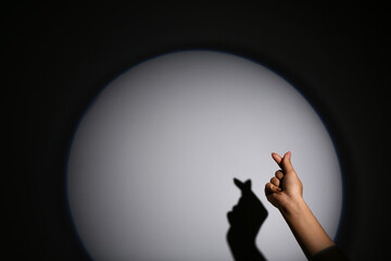 Woman performing a shadow play