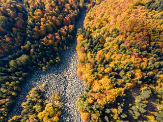 Stone river know as Zlatnite Mostove at Vitosha Mountain, Bulgaria