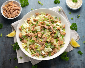Tuna salad with avocado, celery, spring onion and iceberg lettuce. Tasty healthy food