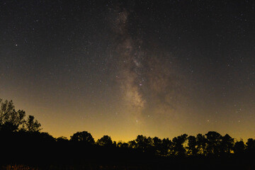 wide angle view of milky way above trees with city glow