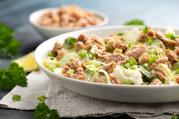 Tuna salad with avocado, celery, spring onion and iceberg lettuce. Tasty healthy food