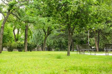 Panorama of beautiful city park
