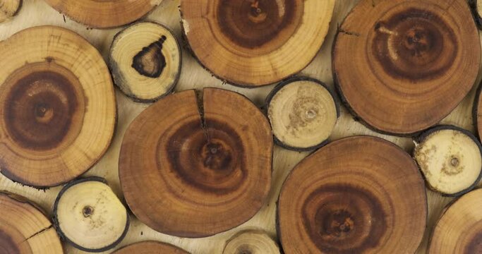 Rotation of round wooden natural cuts of trees of different sizes. Artistic wooden panel made from saw cuts of tree branches. Top view