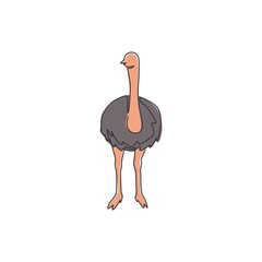 Single continuous line drawing of large ostrich for logo identity. Long necked bird mascot concept for national zoo icon. Modern one line graphic draw design vector illustration