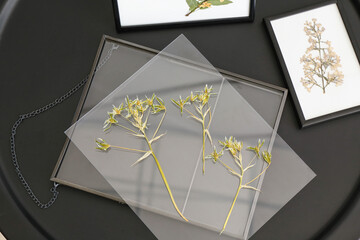 Frames with dried pressed flowers on table