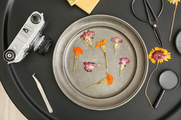Tray with dried pressed flowers, photo camera, scissors and tweezers on table